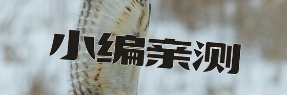 小编亲测&好看现代言情73本